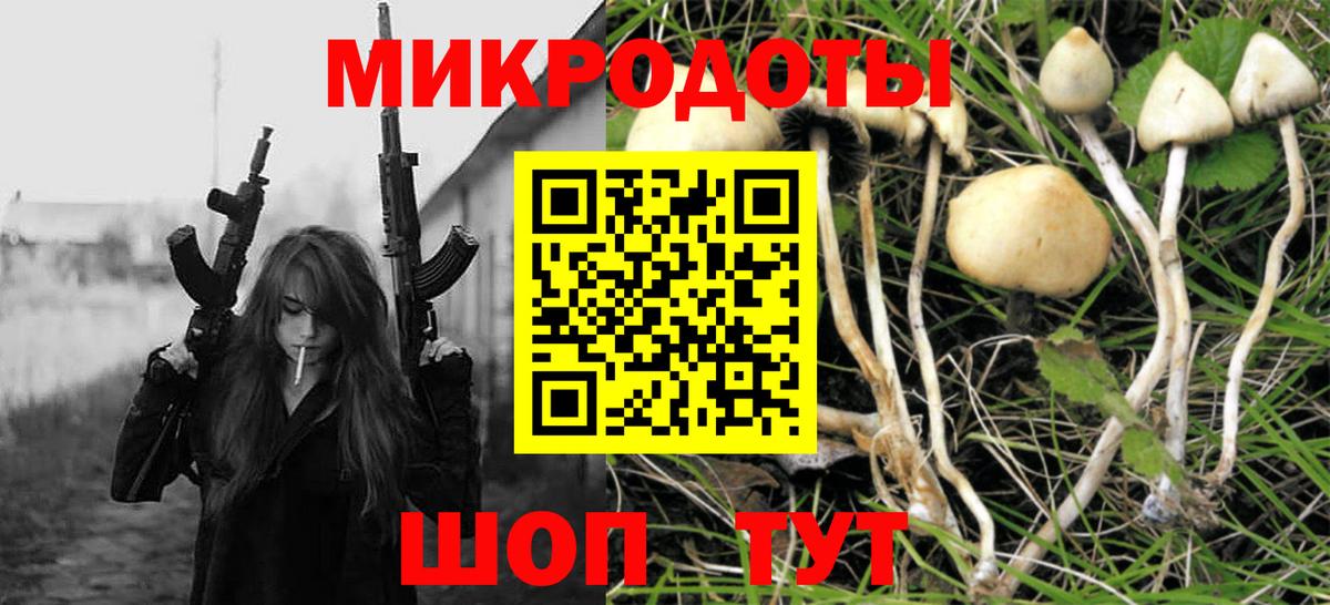 Галлюциногенные грибы прущие грибы Лабытнанги